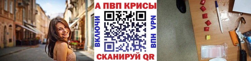 Альфа ПВП СК  Цоци-Юрт 