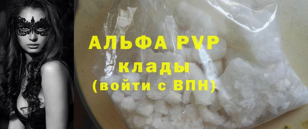 стафф Алексин