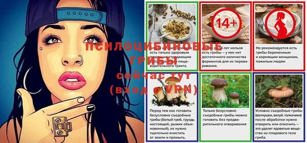 стафф Алексин