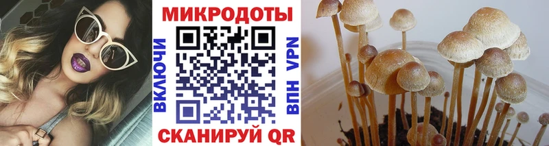 Галлюциногенные грибы ЛСД  купить наркотики сайты  mega ссылки  Цоци-Юрт 