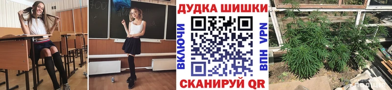 наркошоп  Цоци-Юрт  Канабис планчик 